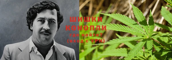 mdpv Пролетарск