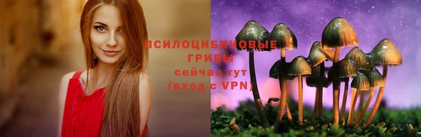 СК Приозерск