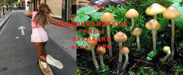 СК Приозерск