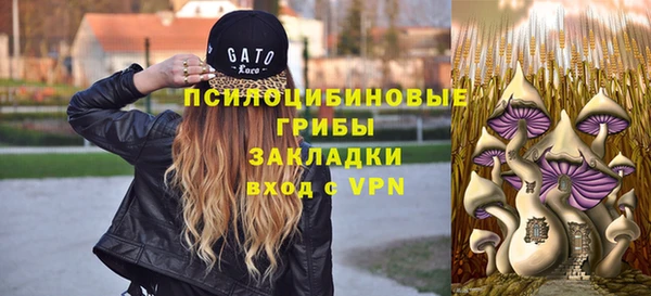 СК Приозерск