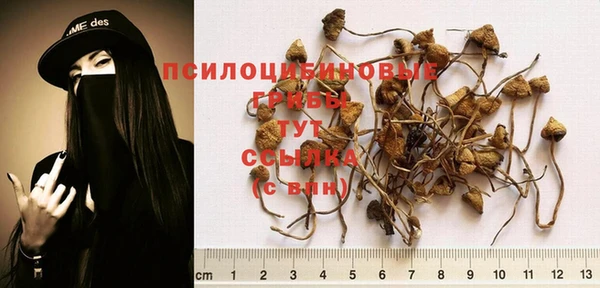 соль курить ск Елизово